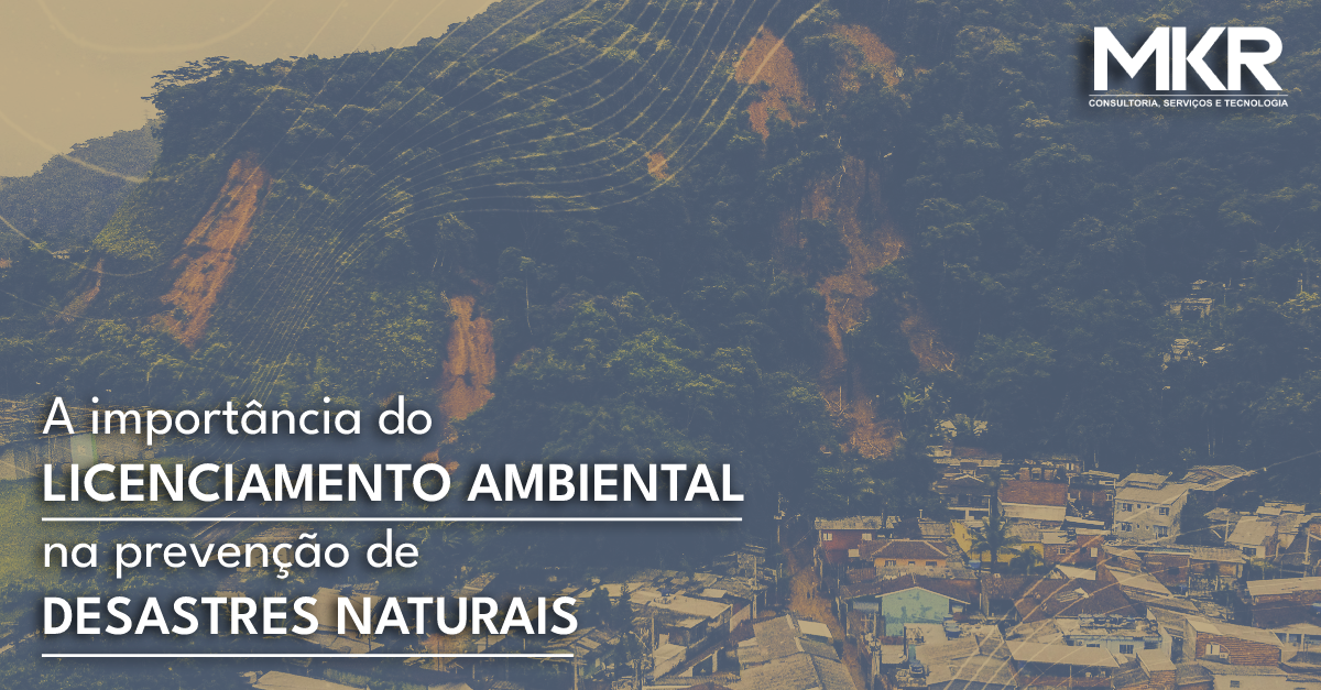 Considerações sobre os acidentes ocorridos no litoral norte de São Paulo e o licenciamento ambiental